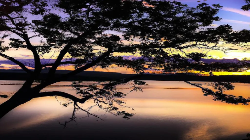 Jak zrobić zdjęcie zachodu Słońca telefonem?