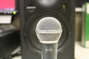 subwoofer 